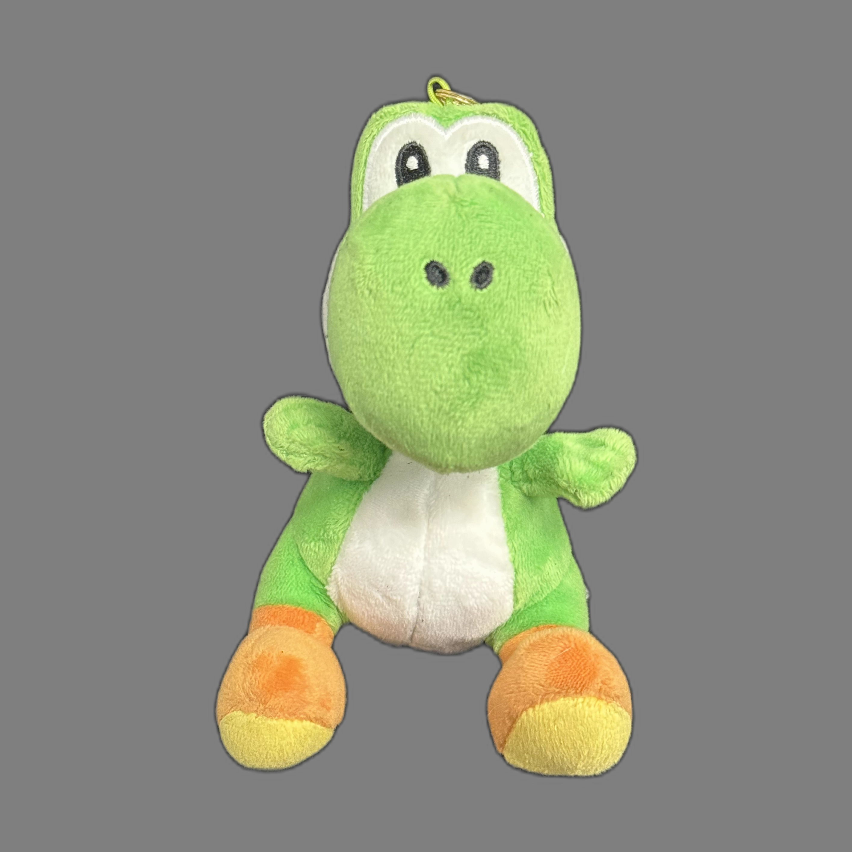 Esempio immagine per generazione 3D